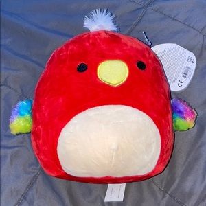 SOLD Squishmallows “Paco” the parrot 7.5 inch